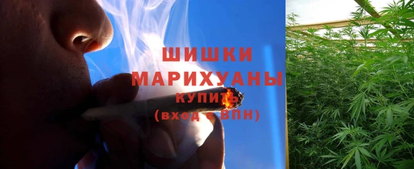 ГАЛЛЮЦИНОГЕННЫЕ ГРИБЫ Нязепетровск