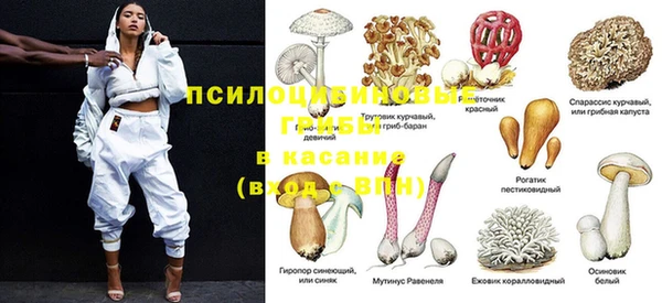 прущая мука Елизово