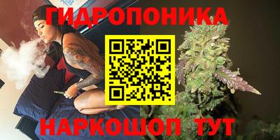 гашик Заводоуковск