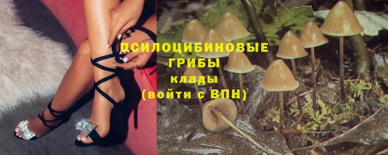 мега вход  купить   Лянтор  Псилоцибиновые грибы Magic Shrooms 