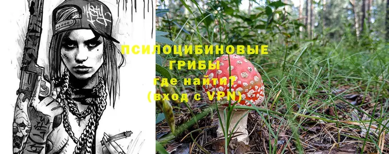 Псилоцибиновые грибы MAGIC MUSHROOMS Лянтор