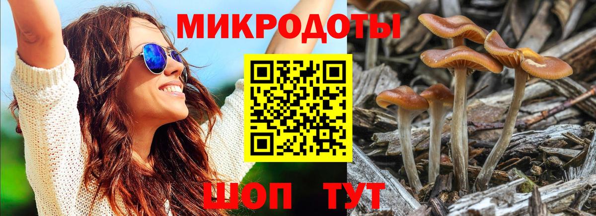 Галлюциногенные грибы ЛСД Лянтор